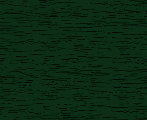 Ciemno-zielony REF. 006